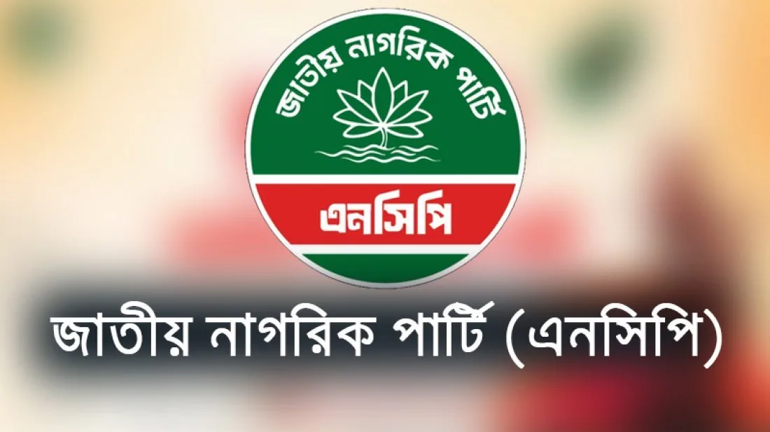 এনসিপিতে নতুন উপ-কমিটি, দায়িত্ব পেলেন যারা