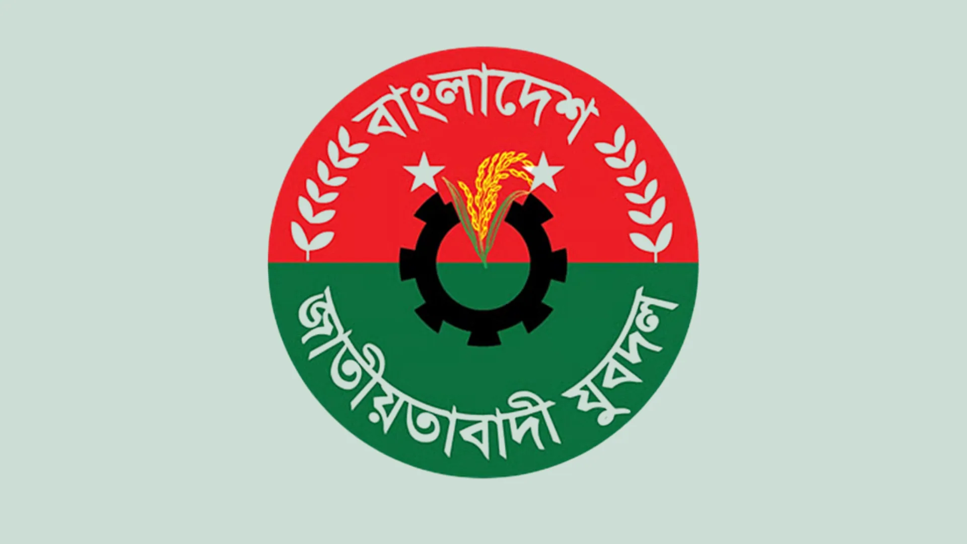 সাংবাদিক নেতার ওপর হামলা, সাতক্ষীরায় ৪ যুবদল নেতা বহিষ্কার