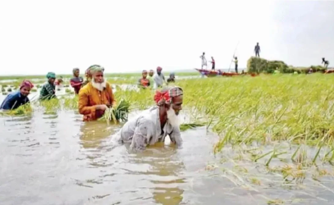 এখন ঘুরছেন ডিজেলের জন্য হন্যে হয়ে, সংকট পিছু ছাড়ছে না হাওরের কৃষকের
