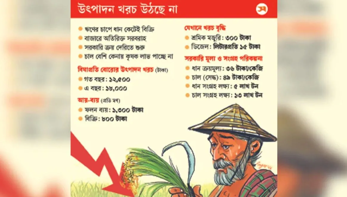 কষ্টের ধান দুঃখ ছড়াচ্ছে কৃষকের সংসারে