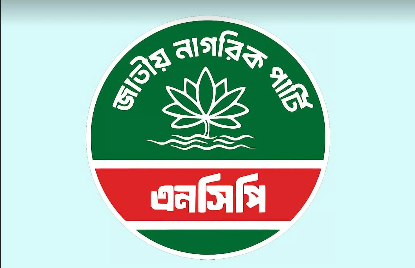 দরবারে হামলা ও পীরকে হত্যার ঘটনায় এনসিপির নিন্দা, জড়িতদের বিচার দাবি