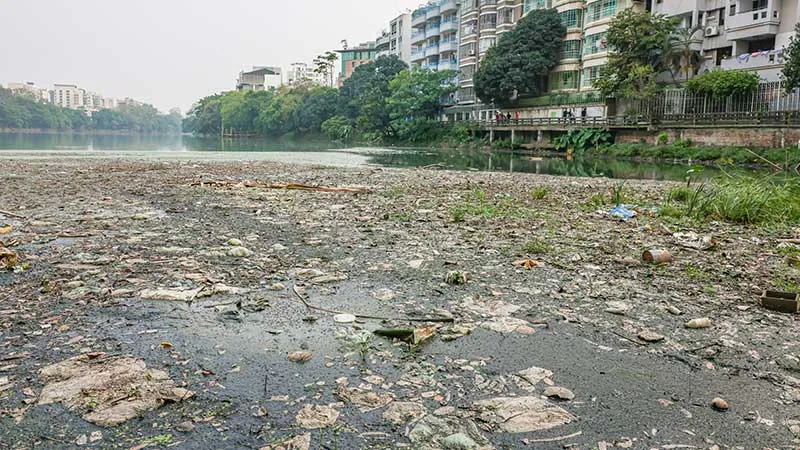 বিষাক্ত আবর্জনায় ঢাকার লেকগুলো মৃত্যুর মুখে ঢলে পড়ছে