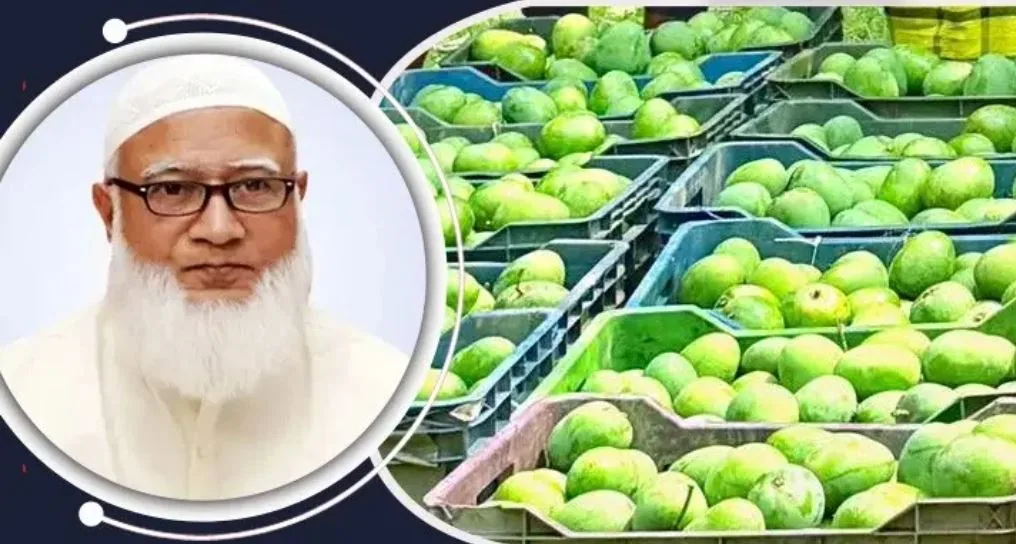সংসদের এমপি থেকে পিয়ন, সবাইকে ১০ কেজি করে আম উপহার দিলেন জামায়াত আমীর