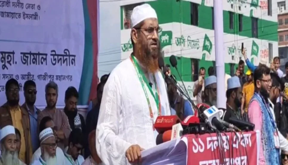 গণভোটের রায় কার্যকর ছাড়া সরকারের বিকল্প পথ নেই: মামুনুল হক